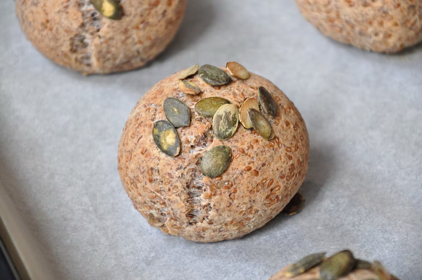 Housky bez kynutí 1